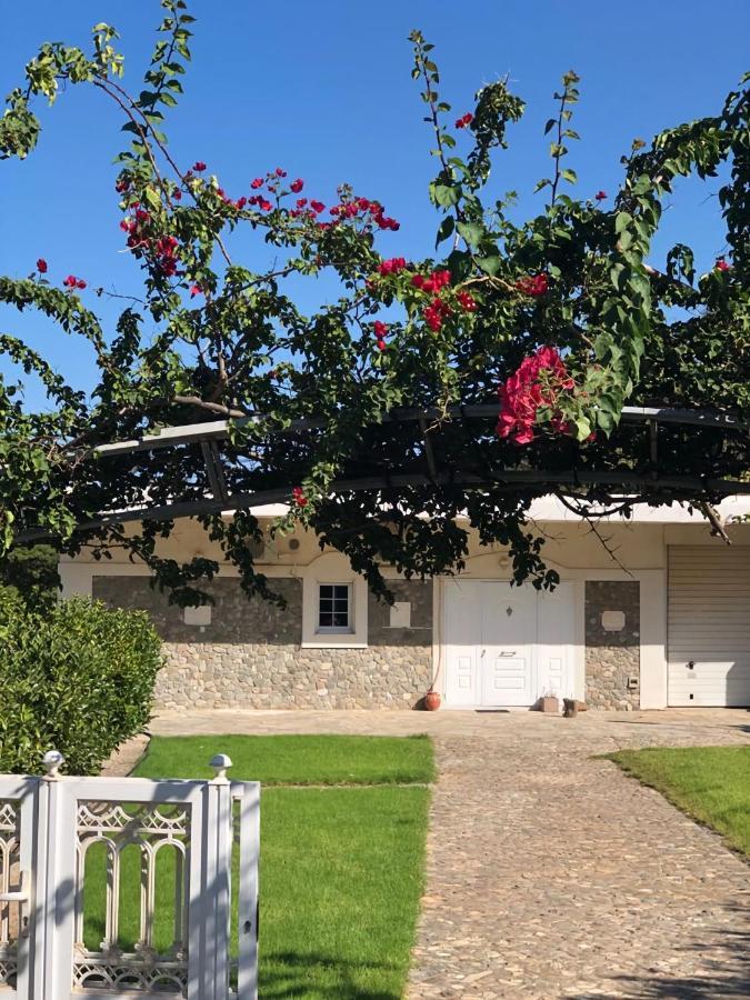 Villa Amalaya Flampouria Luaran gambar